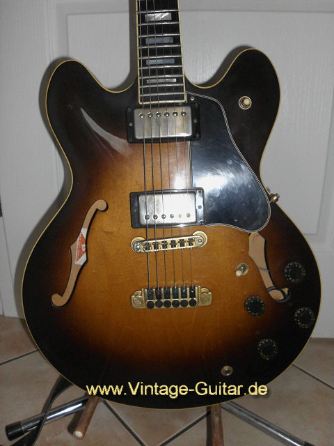 ES-347 sunburst b.jpg